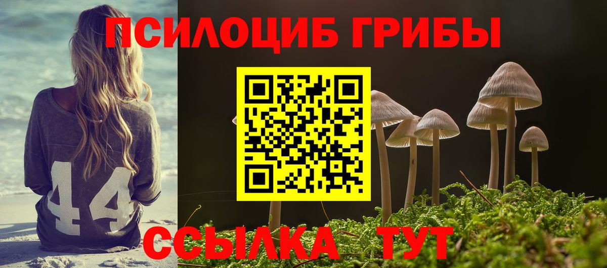 Галлюциногенные грибы Psilocybe  Вход с VPN  Галлюциногенные грибы Psilocybe  Дедовск 